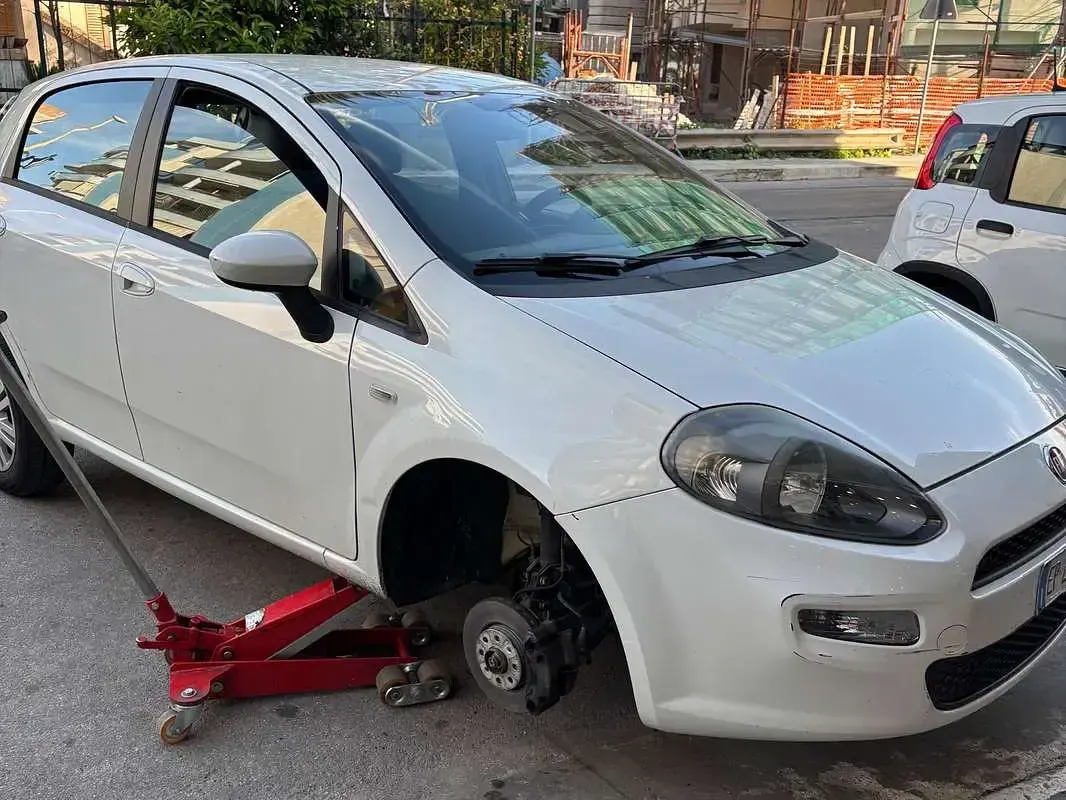 Usata Fiat Punto Pop 69 CV (50 kW) 2012 Bianco Utilitaria