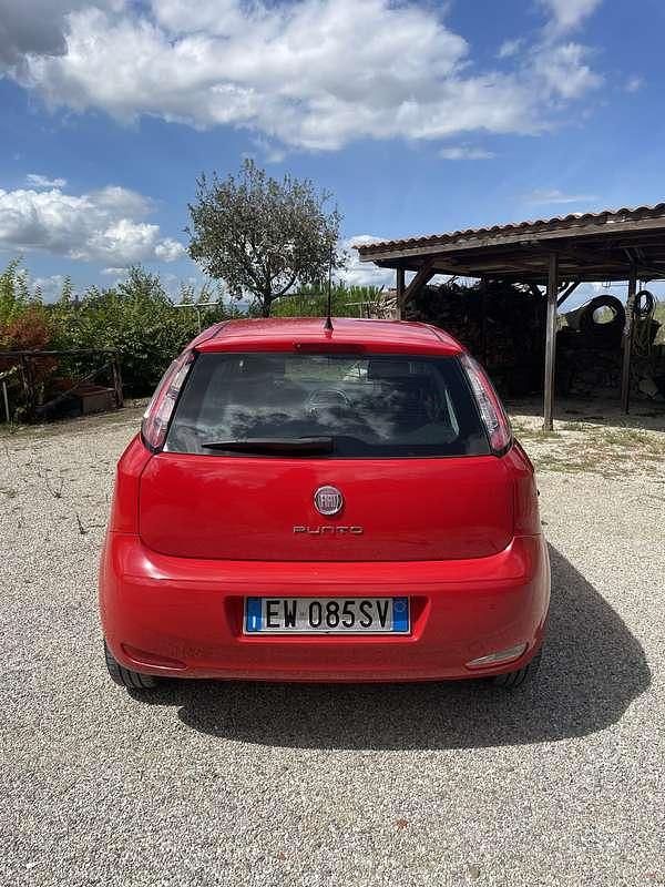 Usata Fiat Punto Young 77 CV (56 kW) 2014 Berlina