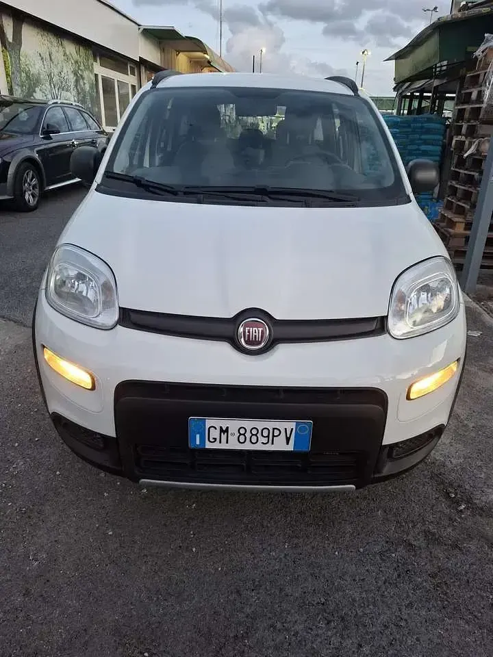 Usata Fiat Panda 4x4 Wild 86 CV (63 kW) 2023 Bianco perla Utilitaria