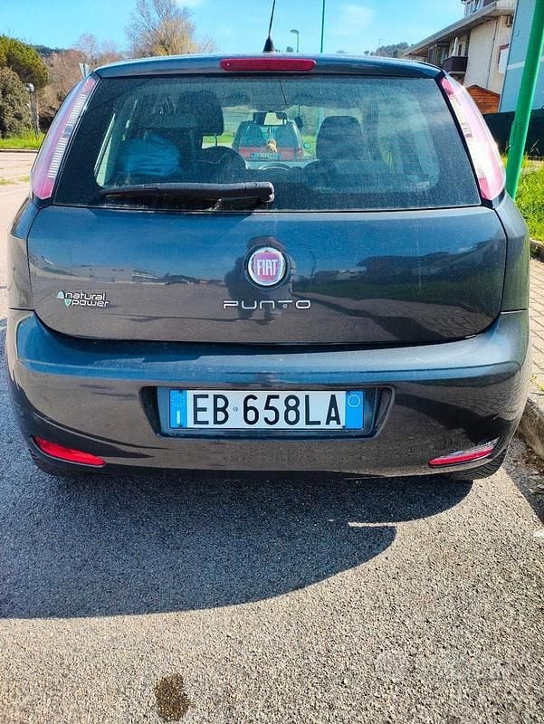 Usata Fiat Punto 77 CV (56 kW) 2012 Utilitaria