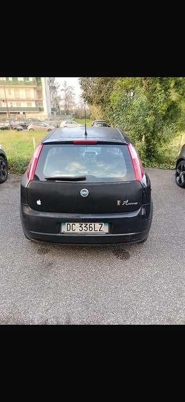 Usata Fiat Punto Lounge 95 CV (69 kW) 2014 Utilitaria