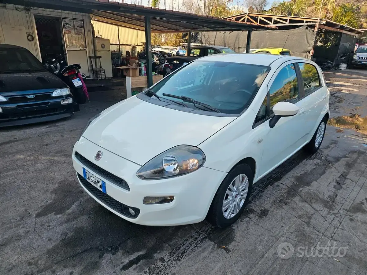Usata Fiat Punto Evo 75 CV (55 kW) 2014 Bianco Utilitaria
