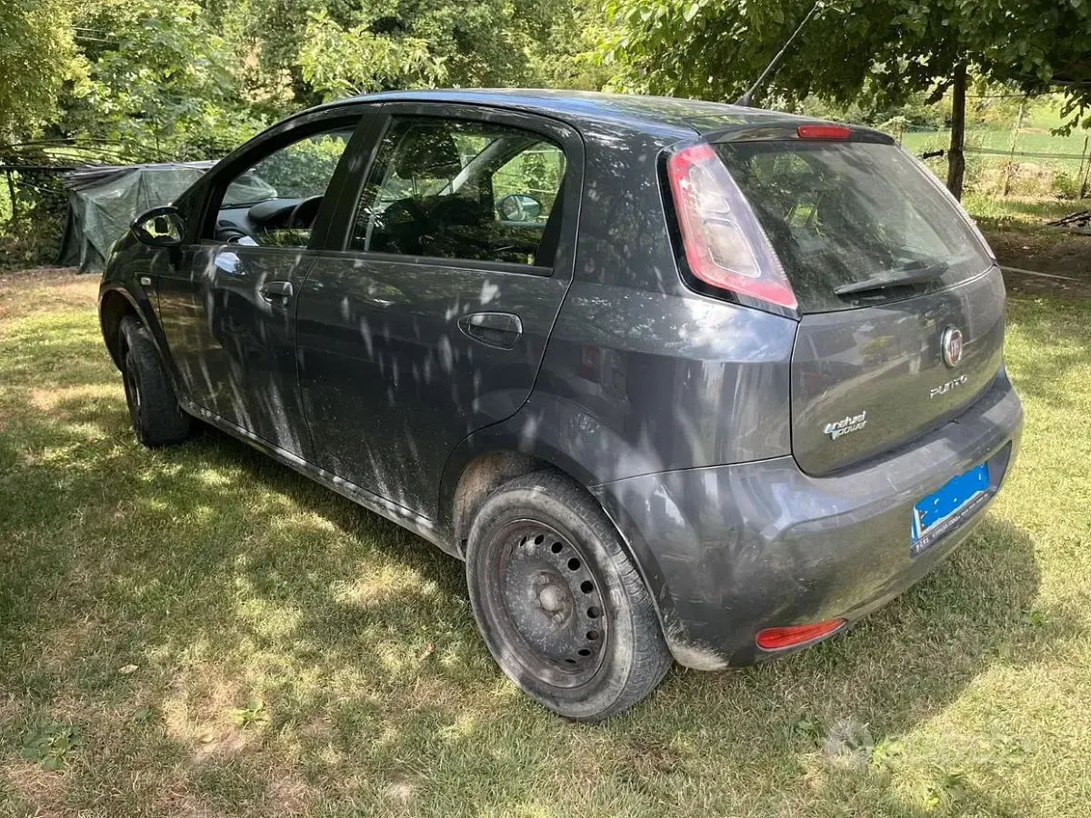 Usata Fiat Punto 77 CV (56 kW) 2013 Grigio Utilitaria