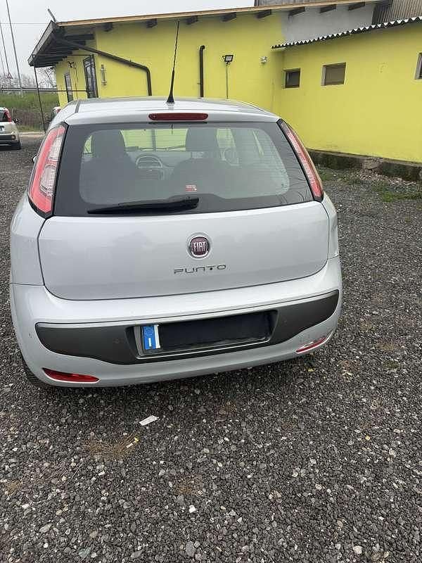 Usata Fiat Punto Active 60 CV (44 kW) 2011 Utilitaria