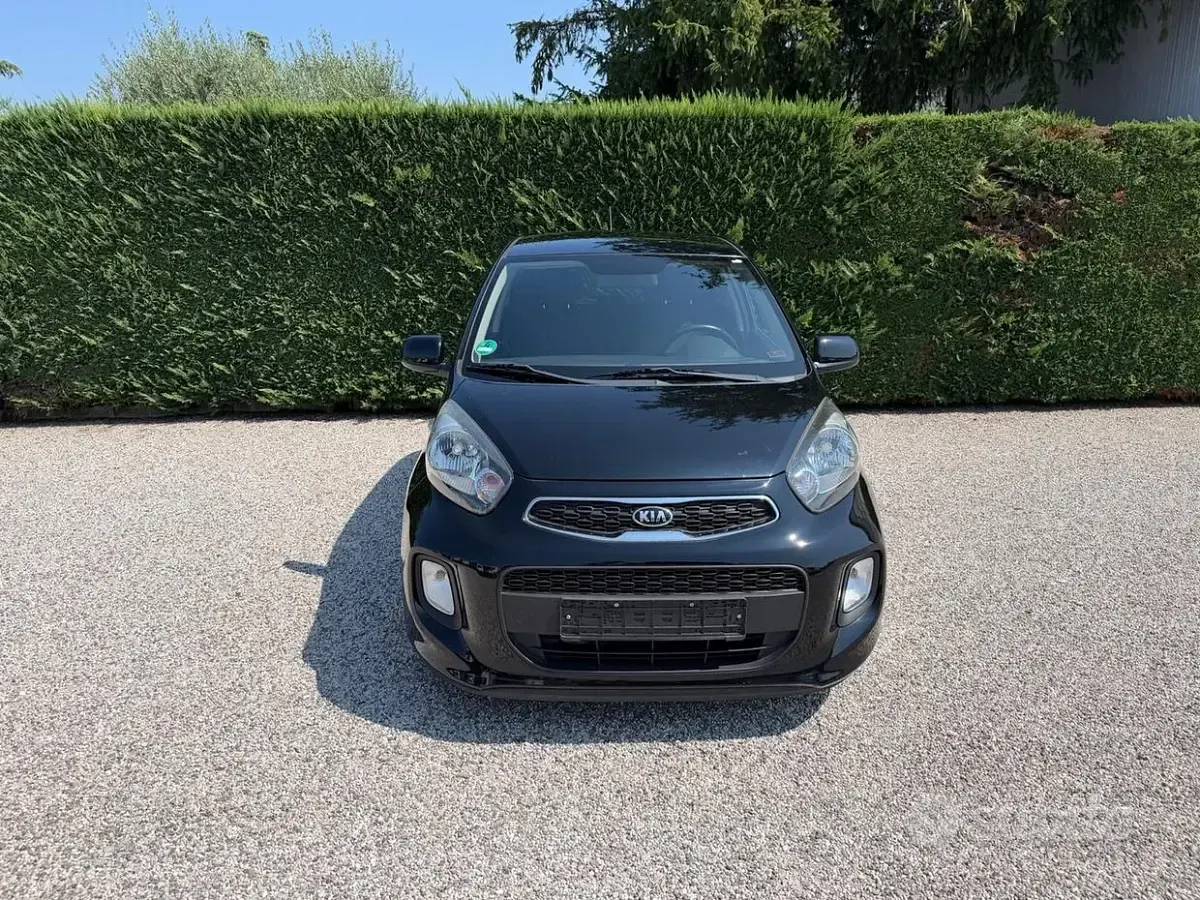 Usata Kia Picanto Active 66 CV (48 kW) 2016 Nero Utilitaria