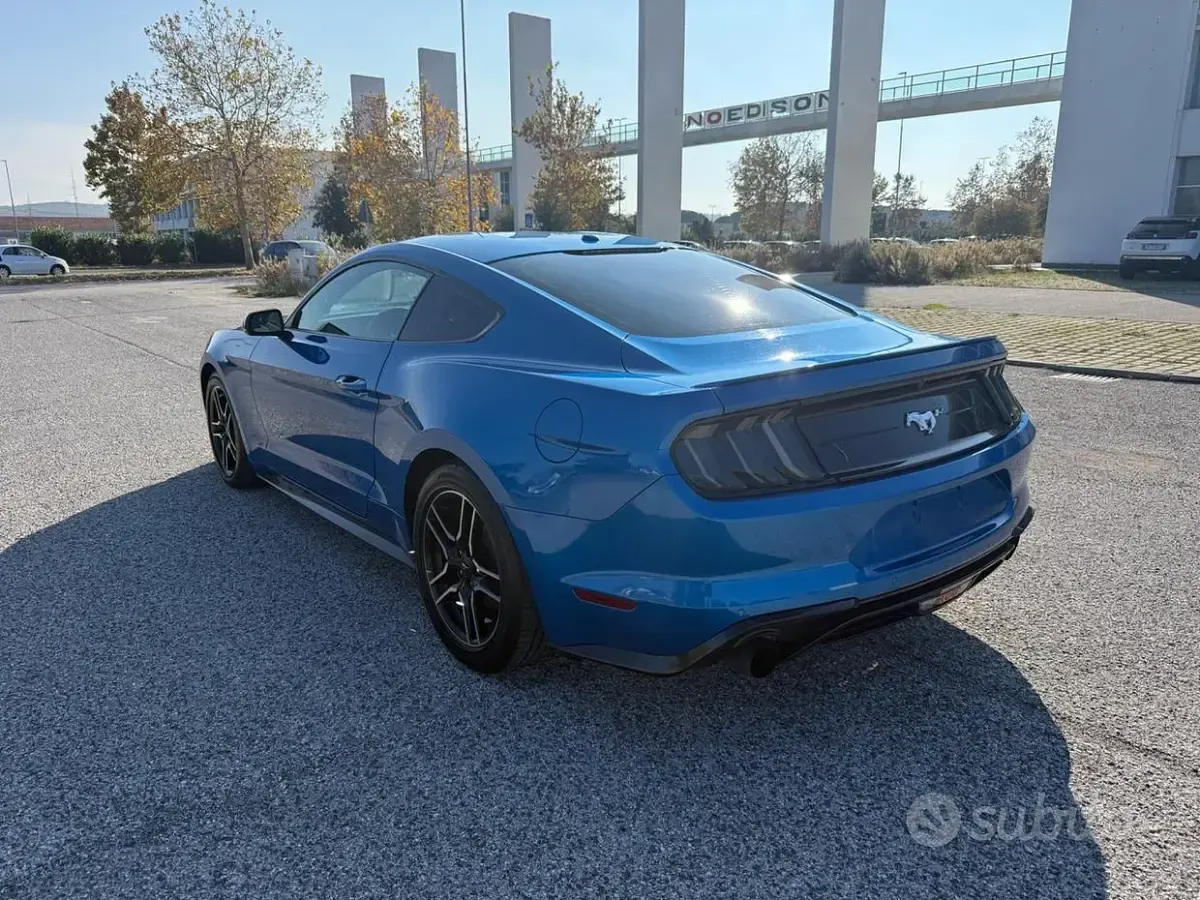 Usata Ford Mustang Fastback 291 CV (214 kW) 2020 Coupé