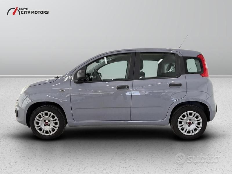 Usata Fiat Panda Pop 69 CV (50 kW) 2018 Grigio Utilitaria