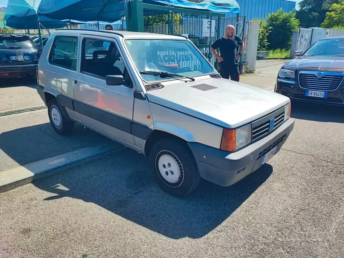 Usata Fiat Panda 54 CV (39 kW) 2003 Grigio Utilitaria
