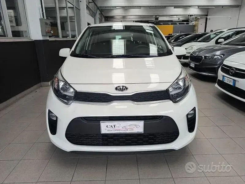 Usata Kia Picanto Active 67 CV (49 kW) 2019 Bianco Utilitaria
