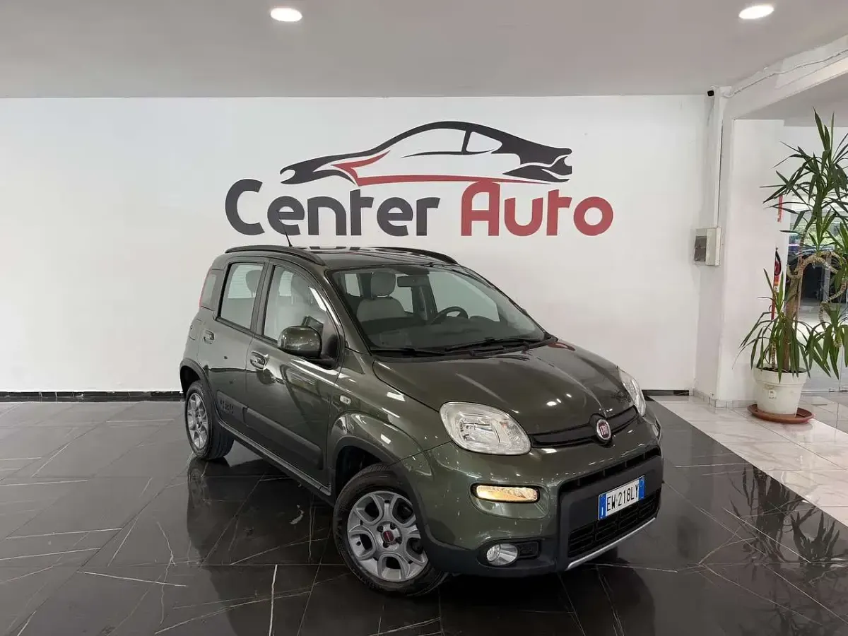 Usata Fiat Panda 4x4 S 86 CV (63 kW) 2014 Other Utilitaria