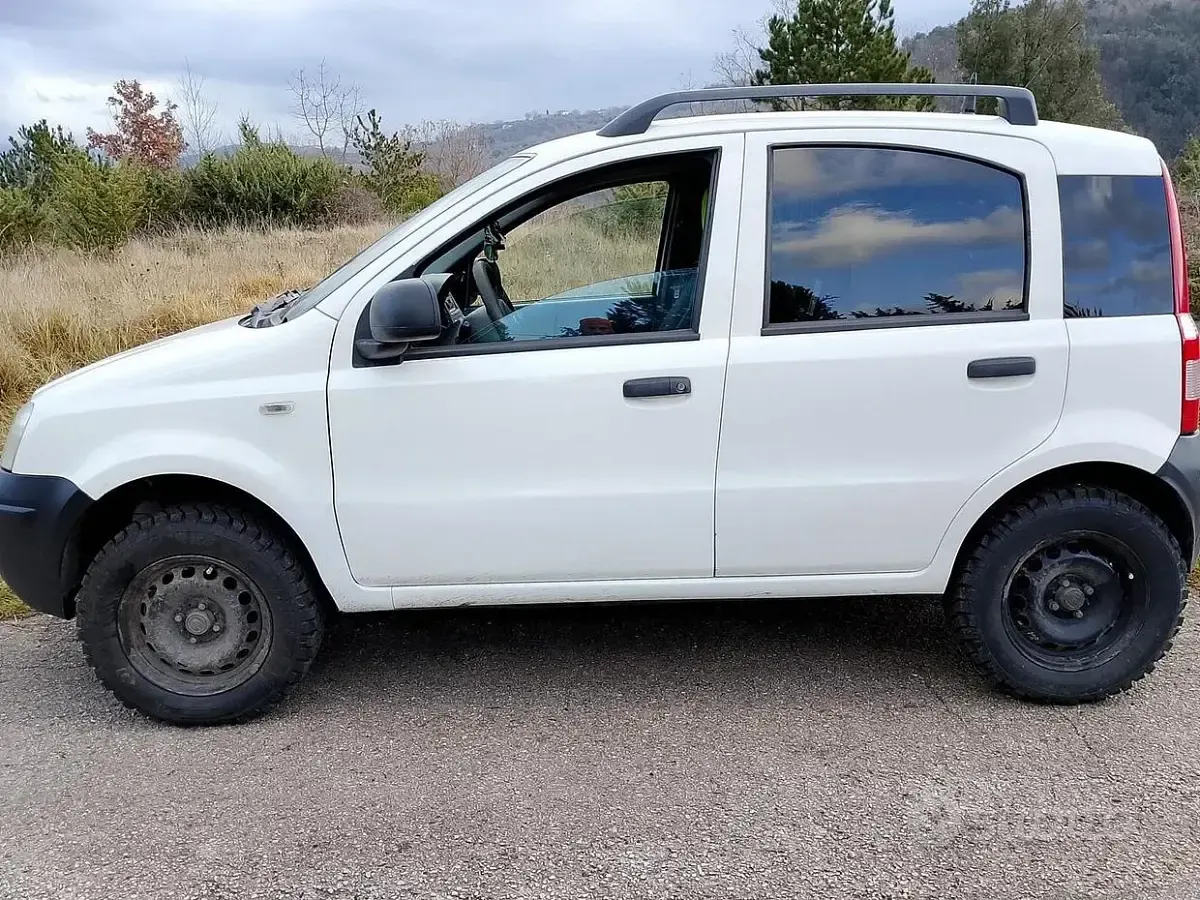 Usata Fiat Panda 4x4 75 CV (55 kW) 2011 Bianco Utilitaria