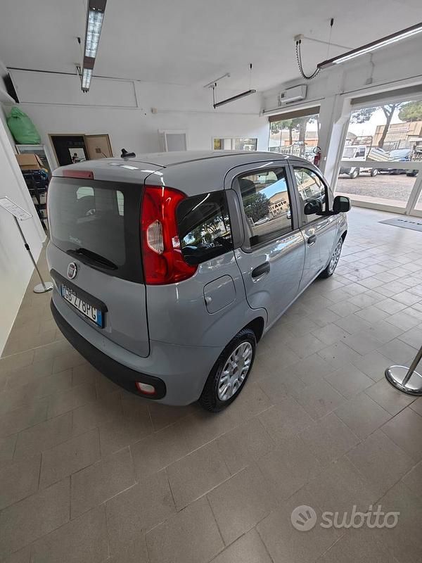 Usata Fiat Panda Easy 69 CV (50 kW) 2020 Grigio Berlina