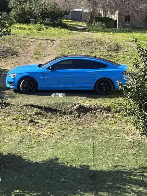 Usata Audi A5 Sportback Ambiente 190 CV (139 kW) 2018 Utilitaria