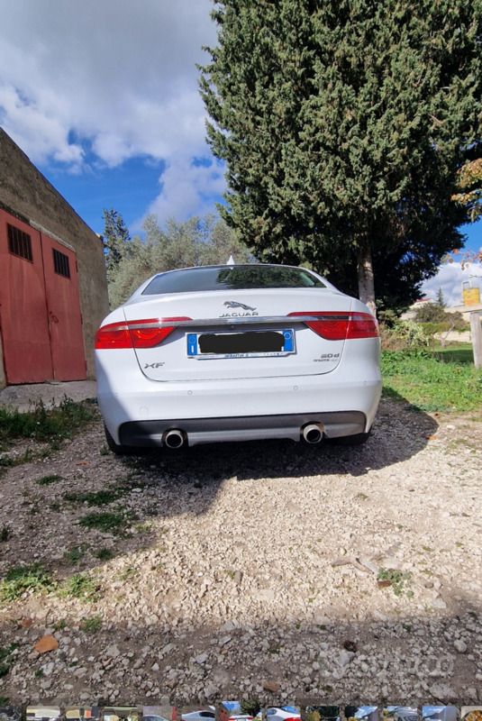 Usata Jaguar XF Prestige 300 CV (220 kW) 2015 Bianco Berlina