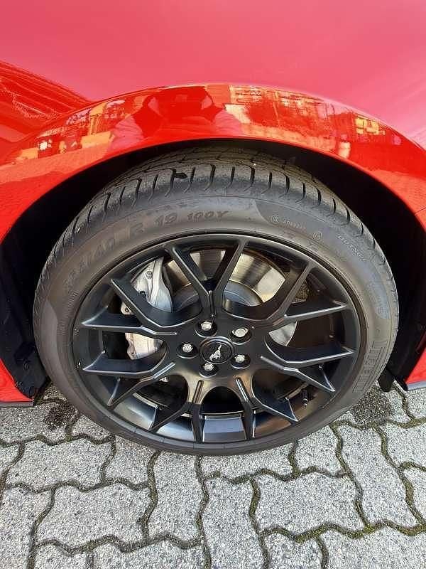 Usata Ford Mustang Fastback 290 CV (213 kW) 2019 Coupé