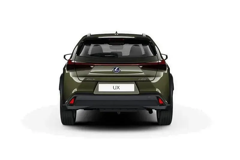 Usata Lexus UX 250h Sport Line 184 CV (135 kW) 2019 Bianco SUV