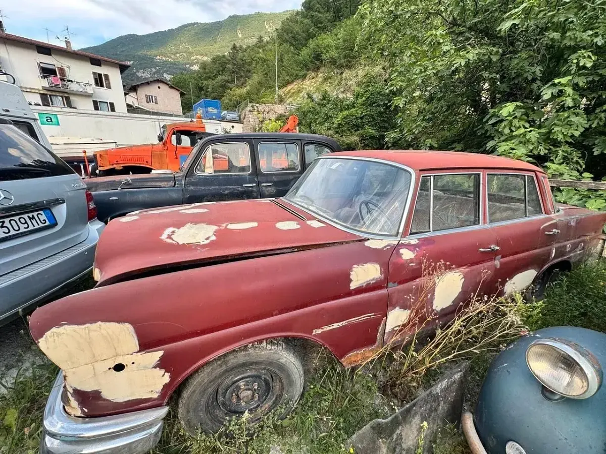 Usata Mercedes 230 108 CV (79 kW) 1976 Rosso Berlina