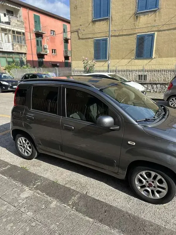 Usata Fiat Panda Lounge 69 CV (50 kW) 2020 Utilitaria