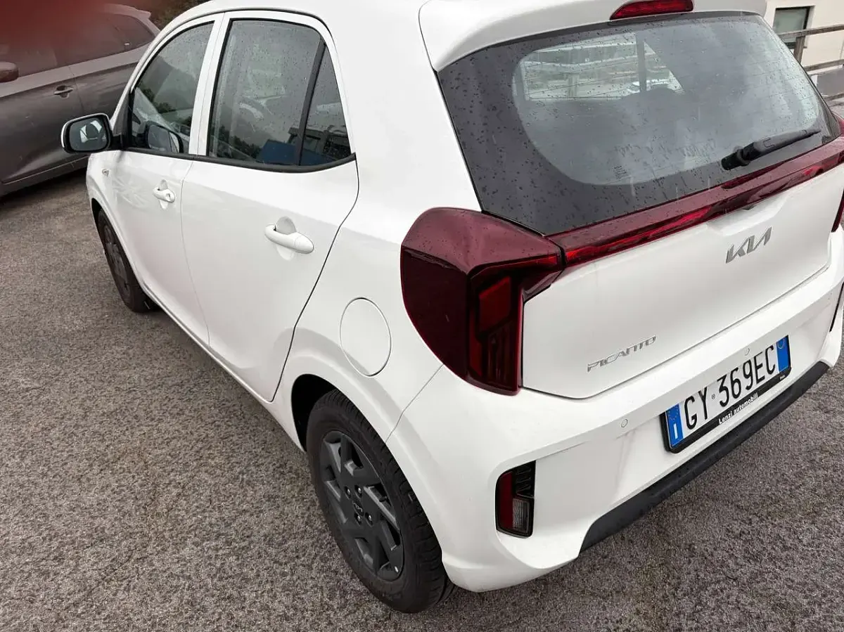 Usata Kia Picanto Urban 63 CV (46 kW) 2025 Bianco Utilitaria