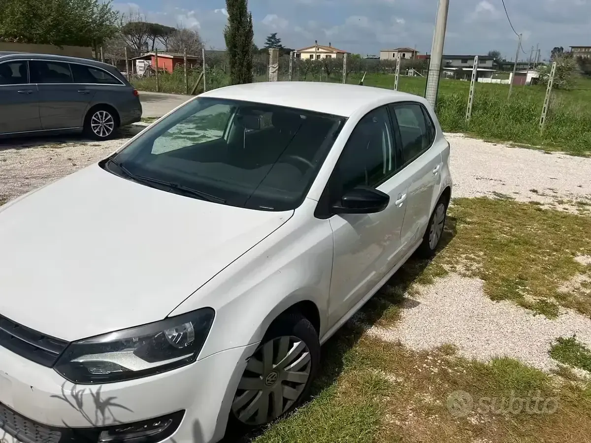 Usata VW Polo 2009 Bianco Utilitaria
