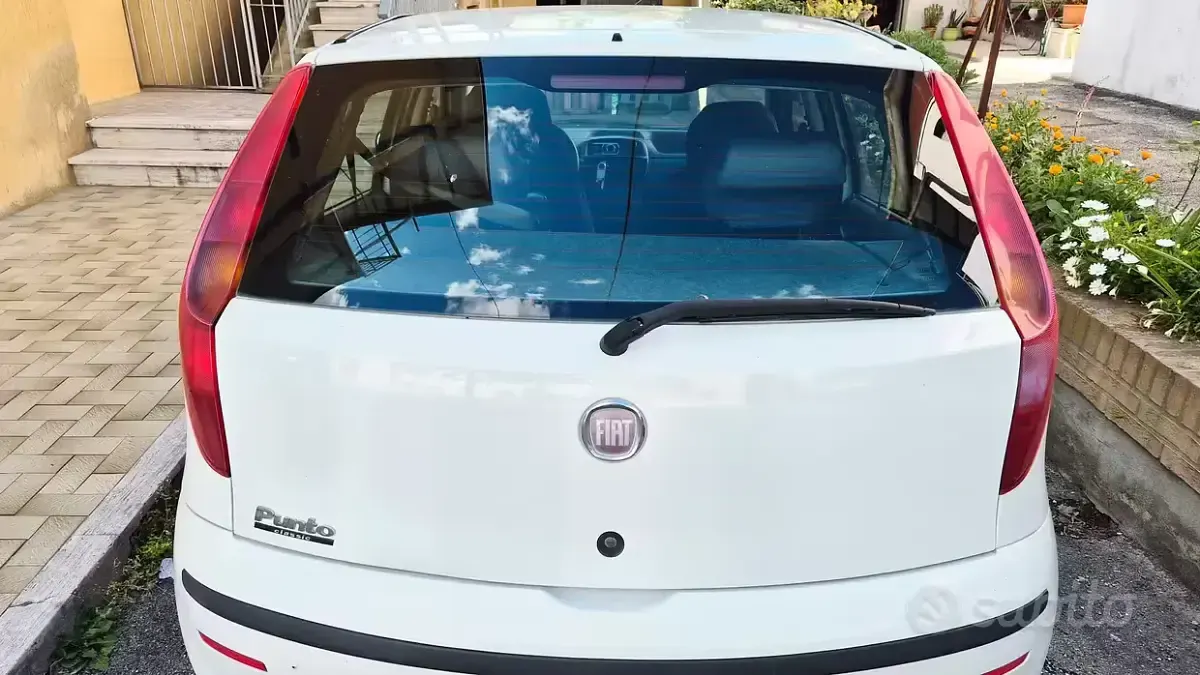Usata Fiat Punto 80 CV (58 kW) 2009 Bianco Utilitaria
