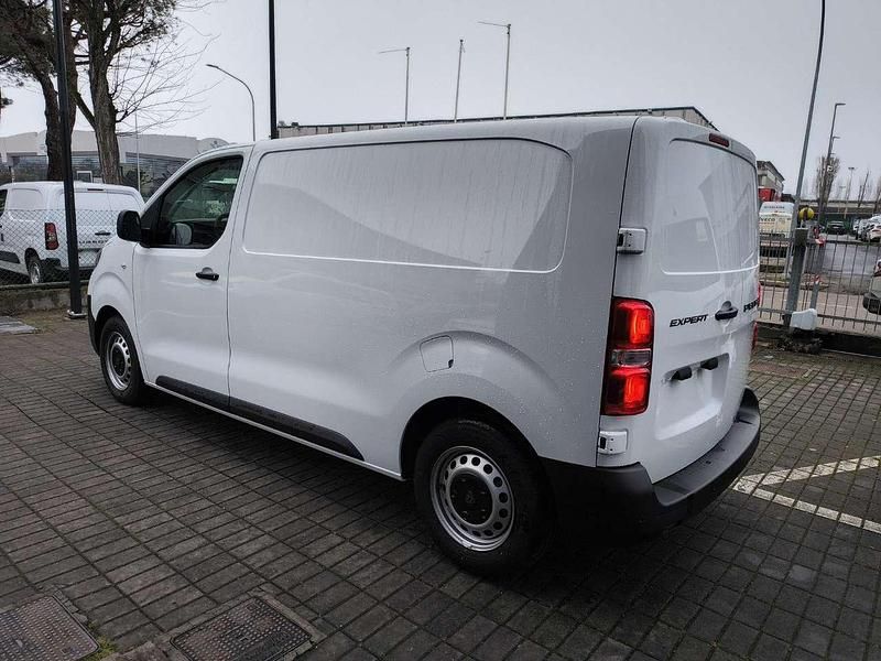 Nuova Peugeot Expert S 2025 Bianco Furgone