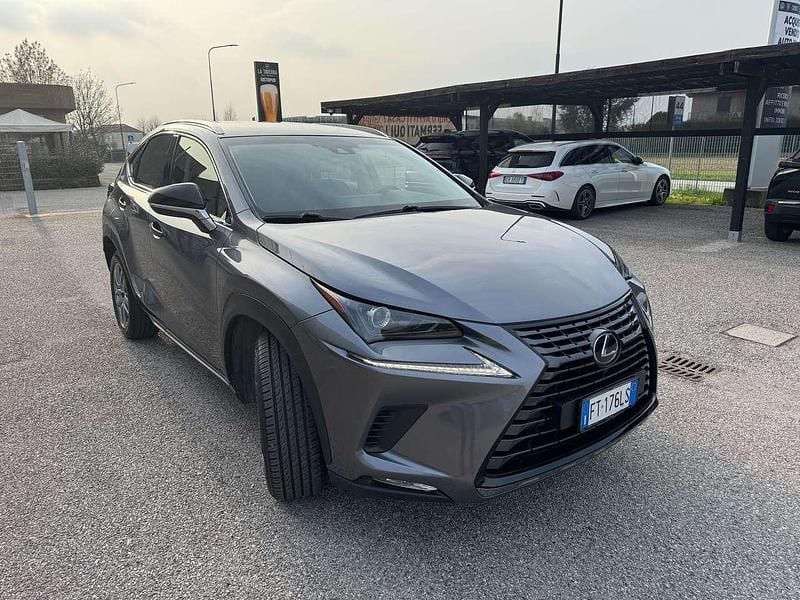 Usata Lexus NX300h Business Edition 155 CV (114 kW) 2019 Grigio SUV