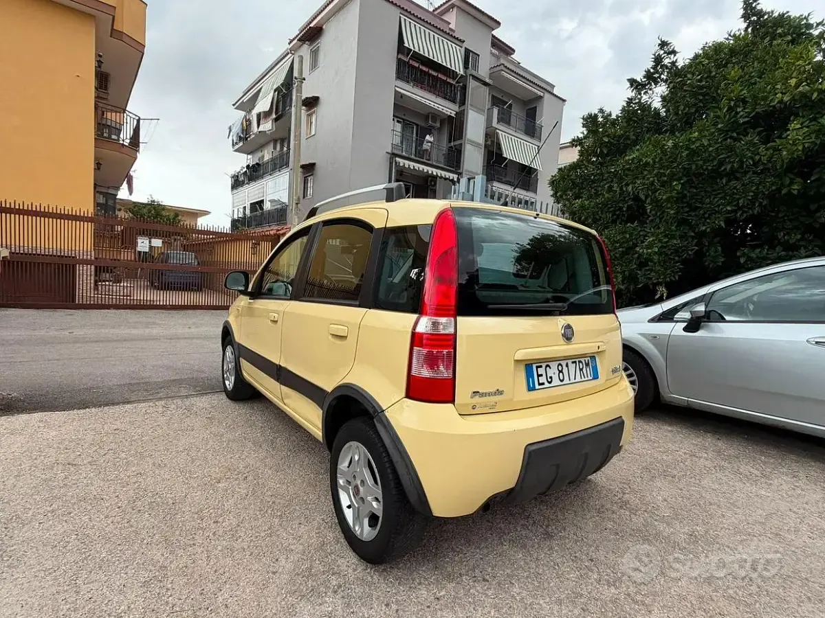 Usata Fiat Panda Climbing 69 CV (50 kW) 2011 Giallo Utilitaria