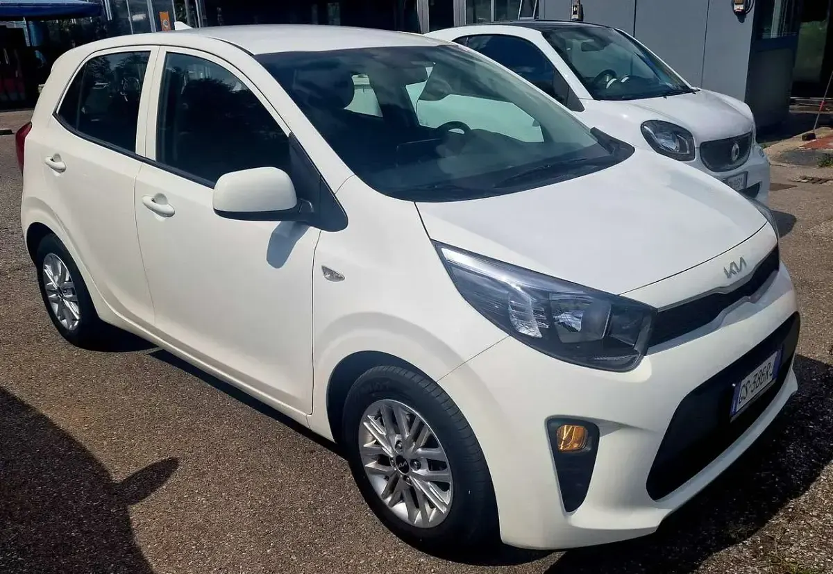Usata Kia Picanto Urban 67 CV (49 kW) 2024 Bianchissima Utilitaria