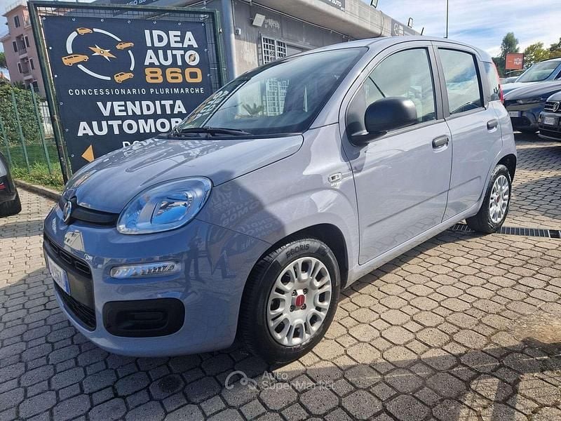 Usata Fiat Panda Easy 69 CV (50 kW) 2021 Grigio Utilitaria