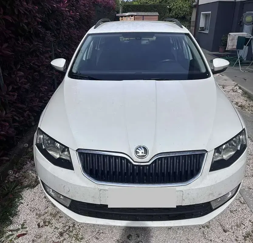Usata Skoda Octavia Exclusive 90 CV (66 kW) 2013 Station wagon