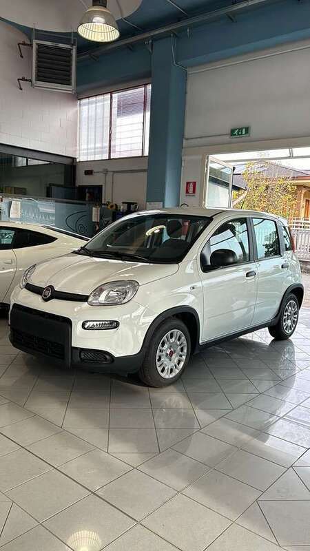 Usata Fiat Panda S 69 CV (50 kW) 2024 Bianco Utilitaria