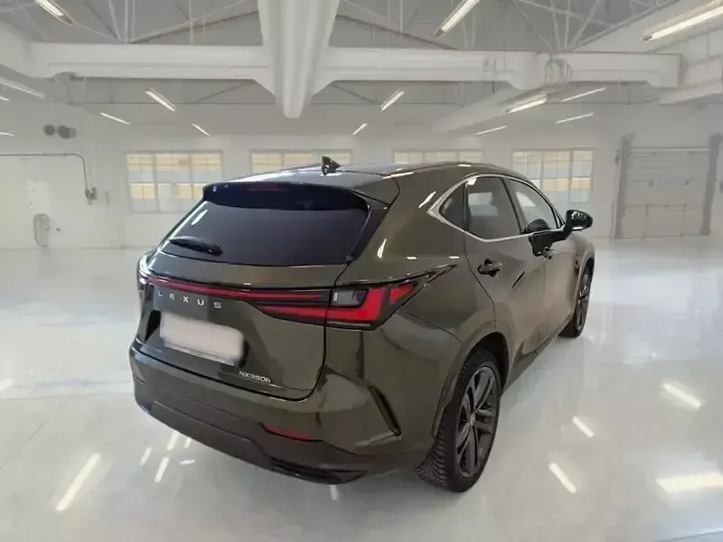 Usata Lexus NX350h 190 CV (139 kW) 2023 Verde SUV