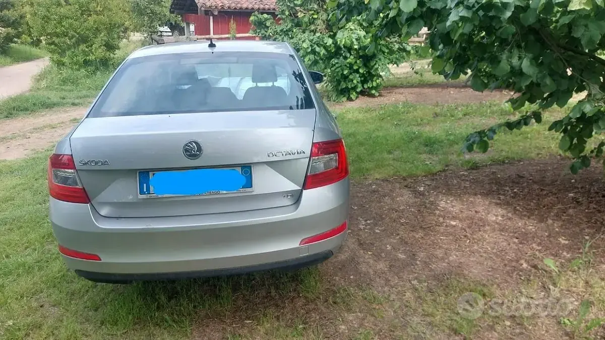 Usata Skoda Octavia Ambition 105 CV (77 kW) 2013 Grigio Berlina
