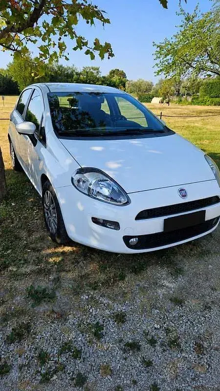 Usata Fiat Grande Punto Dynamic 75 CV (55 kW) 2014 Utilitaria