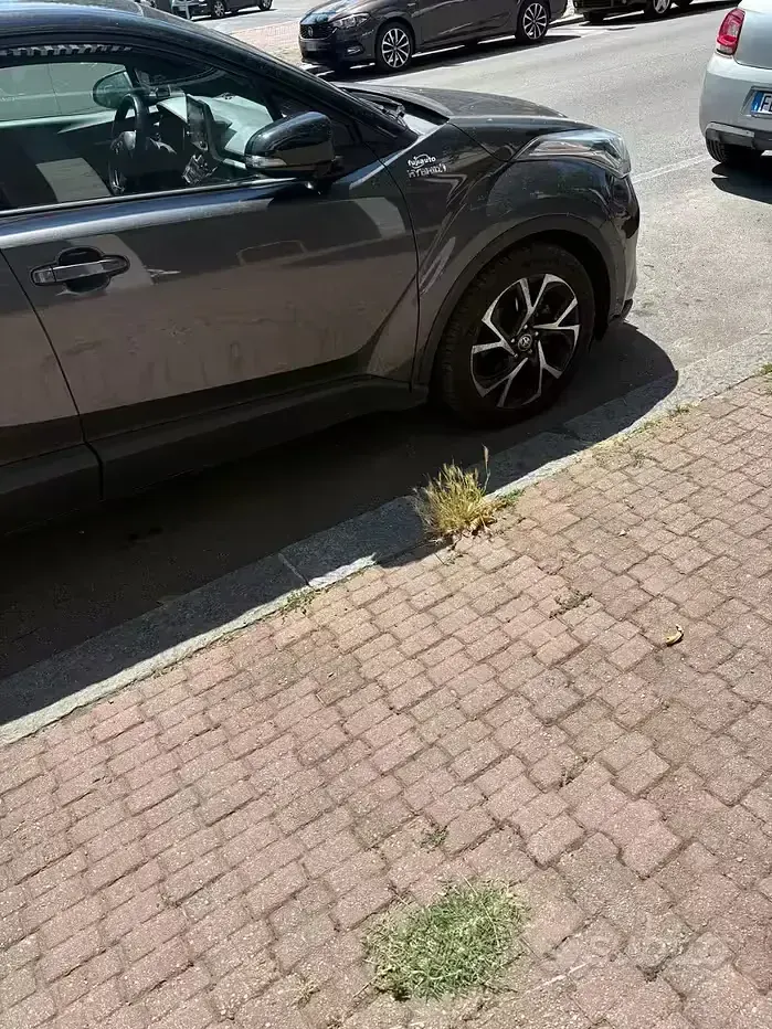 Usata Toyota C-HR 152 CV (111 kW) 2020 SUV