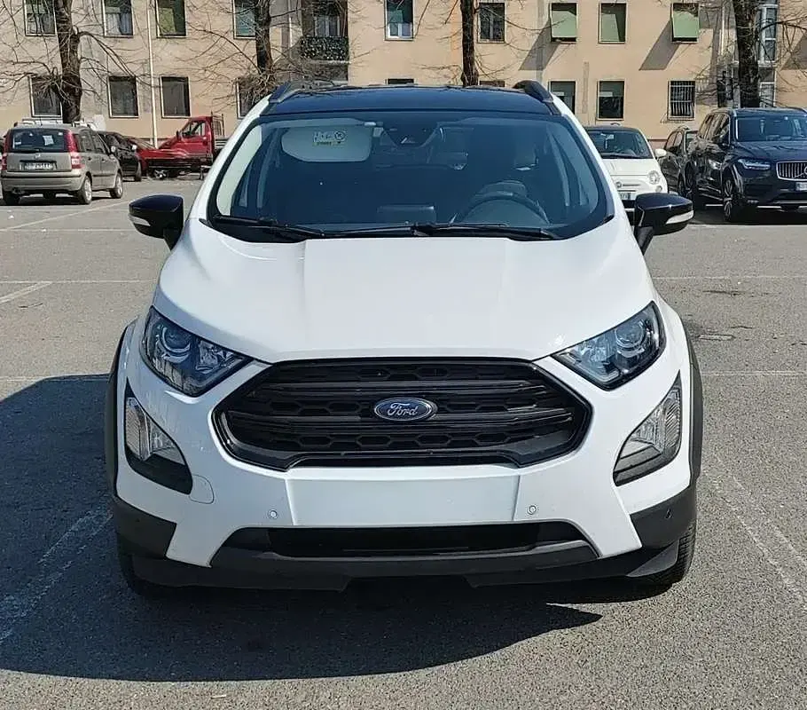 Usata Ford Ecosport Active 125 CV (91 kW) 2022 Bianco SUV