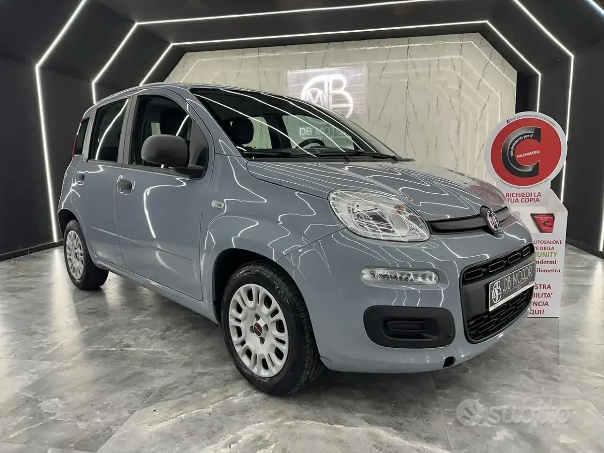 Usata Fiat Panda Easy 95 CV (69 kW) 2017 Grigio Utilitaria