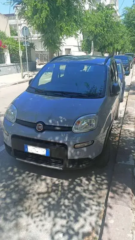 Usata Fiat Panda 4x4 S 84 CV (61 kW) 2019 Grigio Utilitaria