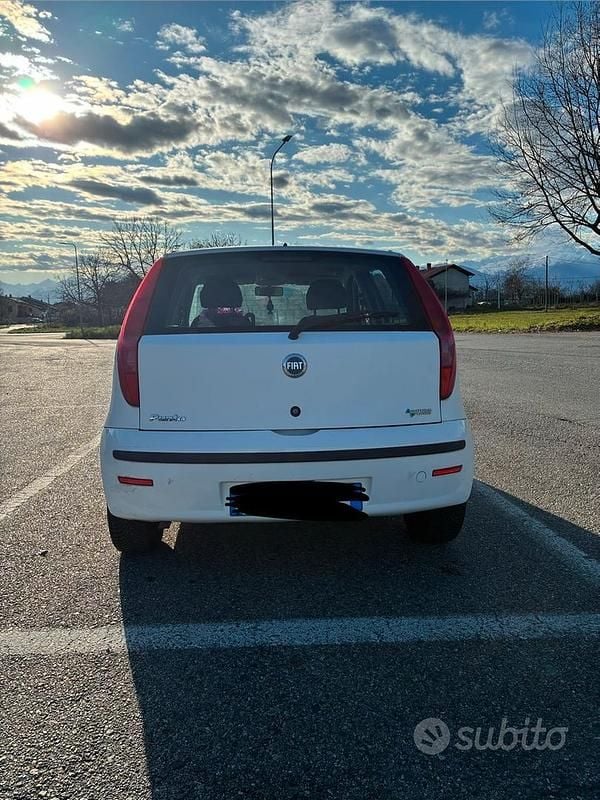 Usata Fiat Punto 2002 Bianco Utilitaria