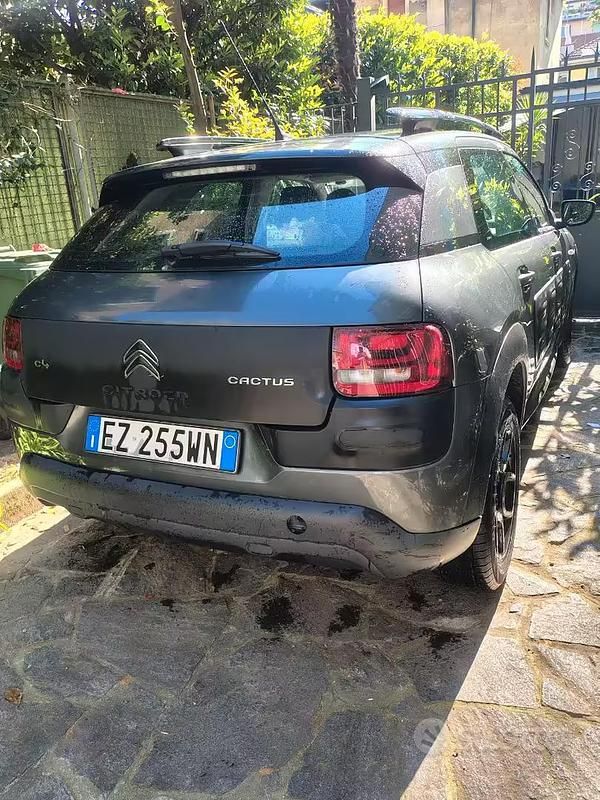 Usata Citroën C4 Cactus 92 CV (67 kW) 2015 Utilitaria