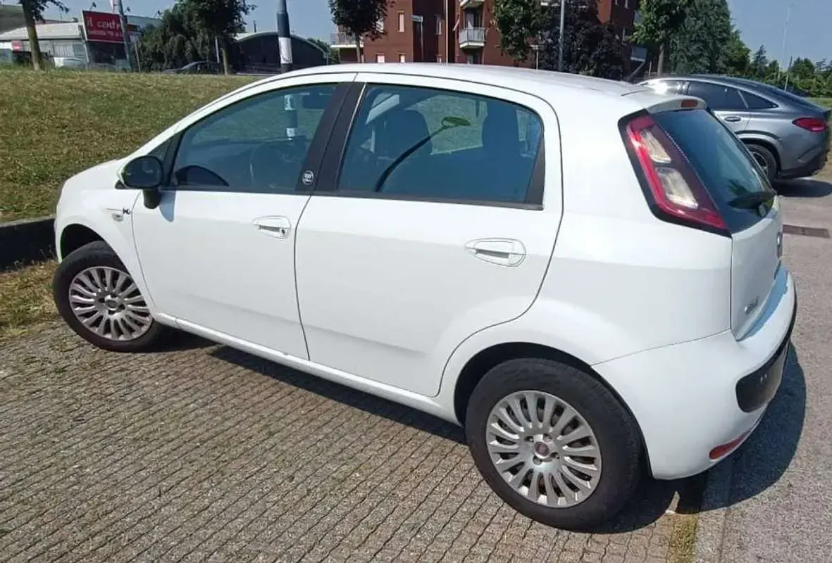 Usata Fiat Punto Evo 77 CV (56 kW) 2011 Bianco Utilitaria
