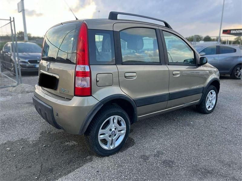 Usata Fiat Panda Dynamic 60 CV (44 kW) 2008 Bronzo Utilitaria
