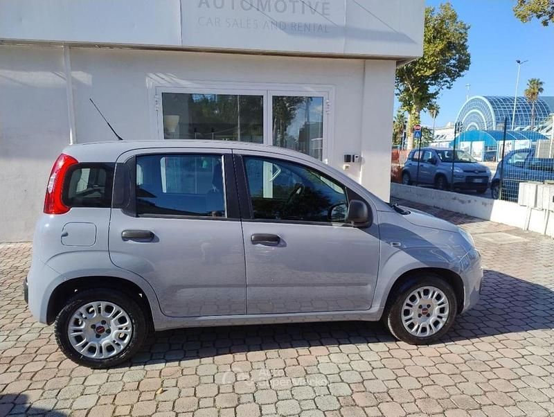 Usata Fiat Panda Easy 69 CV (50 kW) 2019 Grigio chiaro Utilitaria