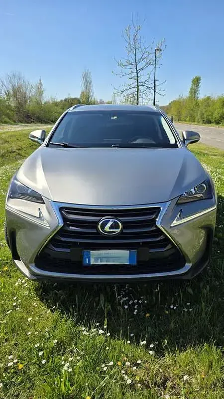Usata Lexus NX300h 155 CV (114 kW) 2015 Argento SUV