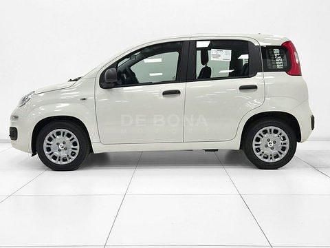 Nuova Fiat Panda Icon 65 CV (47 kW) 2026 Bianco Utilitaria