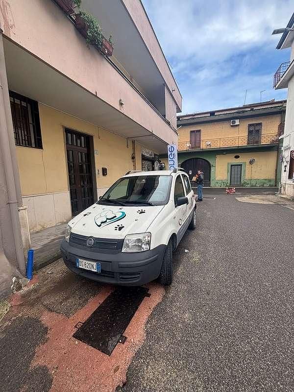 Usata Fiat Panda 60 CV (44 kW) 2008 Utilitaria