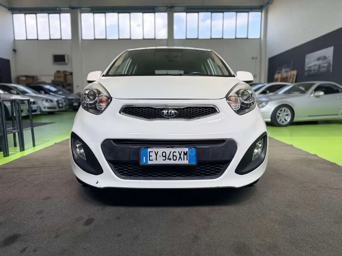 Usata Kia Picanto 67 CV (49 kW) 2015 Bianco Utilitaria