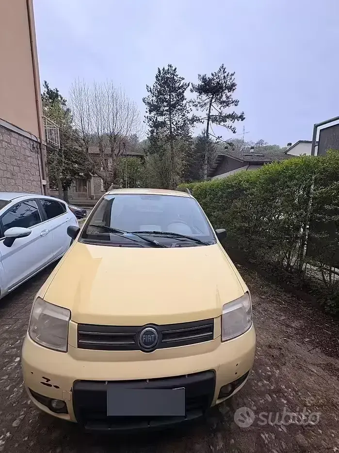 Usata Fiat Panda 4x4 Climbing 60 CV (44 kW) 2005 Giallo Utilitaria