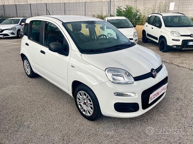 Usata Fiat Panda Easy 69 CV (50 kW) 2019 Bianco Utilitaria